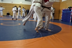 PXL_20211009_111236245