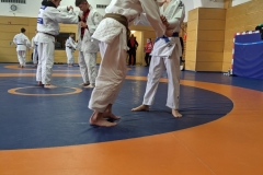 PXL_20211009_111334994