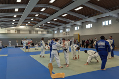 PXL_20231008_083738864