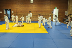 PXL_20231011_135123625.ACTION_PAN-02.ORIGINAL