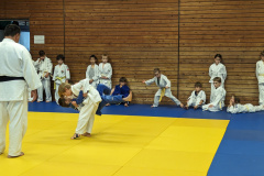 PXL_20231011_150136815.ACTION_PAN-02.ORIGINAL