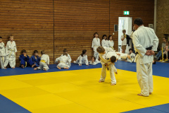 PXL_20231011_150254726.ACTION_PAN-02.ORIGINAL