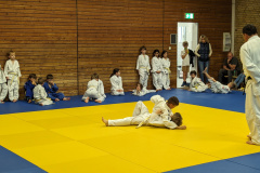 PXL_20231011_150257877.ACTION_PAN-02.ORIGINAL