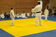 PXL_20231011_150353879.ACTION_PAN-02.ORIGINAL