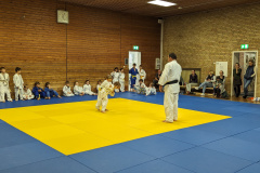 PXL_20231011_150508234.ACTION_PAN-02.ORIGINAL