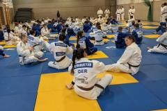 PXL_20231119_071648100