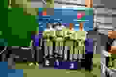 WhatsApp-Image-2024-03-29-at-19.18.36