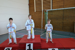 PXL_20240622_125925825