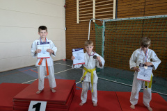 PXL_20240622_130322609