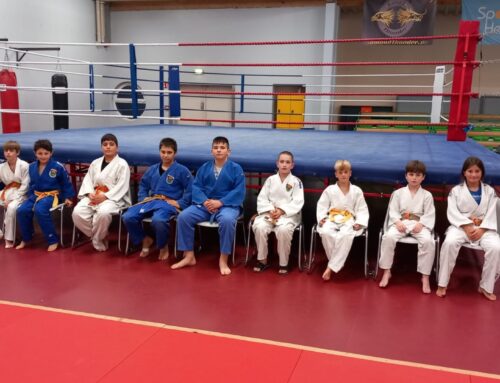 Training in Lübeck: Letzter Schliff vor dem Baulöwen-Pokal